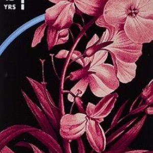 Meet your Posher, Christa